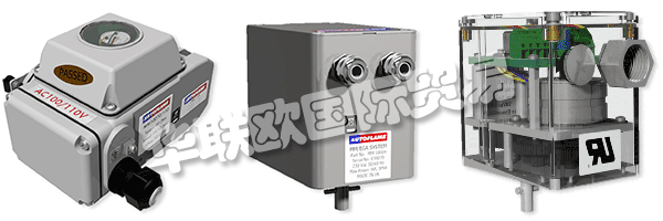 因此被視為AUTOFLAME公司和質(zhì)量管理體系的主要目標。