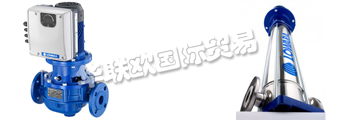 意大利LOWARA是一家專門生產(chǎn)不銹鋼泵的公司，他們提供的產(chǎn)品有：意大利LOWARA泵,、LOWARA水泵、循環(huán)器、端吸泵、多級泵、直列式泵、濕轉(zhuǎn)子循環(huán)器、變速泵、冷凝泵、自吸泵、潛水鉆孔泵、潛水污水和污水泵、潛水式脫水泵、外圍泵、泵控制器、驅(qū)動器、變頻器、控制器、壓力開關(guān)控制器。
